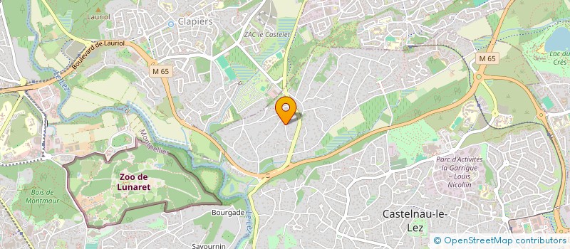 localisation de l'entreprise MONSIEUR JAMES WHITE  CASTELNAU-LE-LEZ