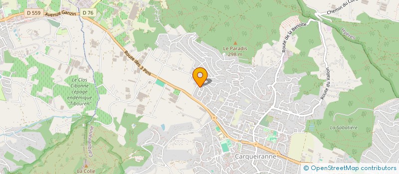 localisation de l'entreprise MONSIEUR JAN BERGER  CARQUEIRANNE