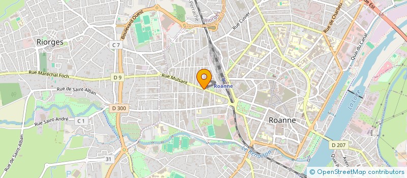 localisation de l'entreprise MONSIEUR JAN BUBNAR  ROANNE