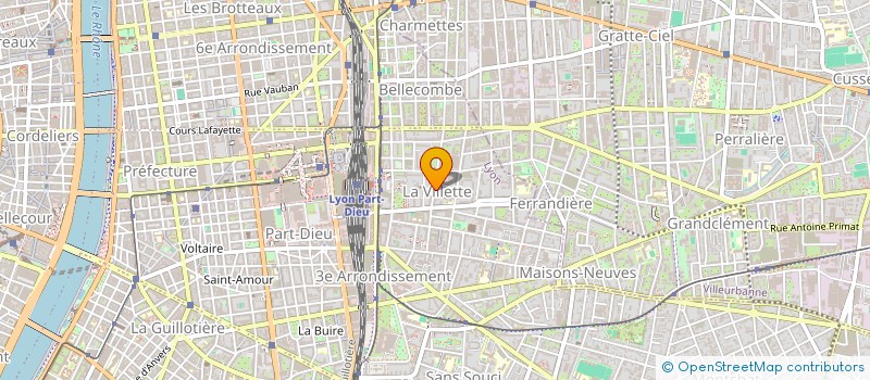 localisation de l'entreprise MONSIEUR JANEZ TURSIC à LYON