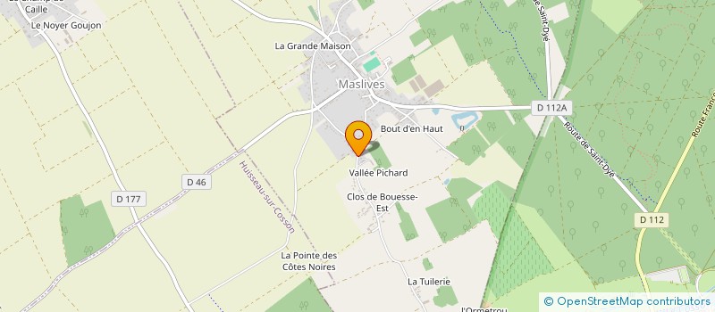 localisation de l'entreprise MONSIEUR JANY BOISSONNET  MASLIVES