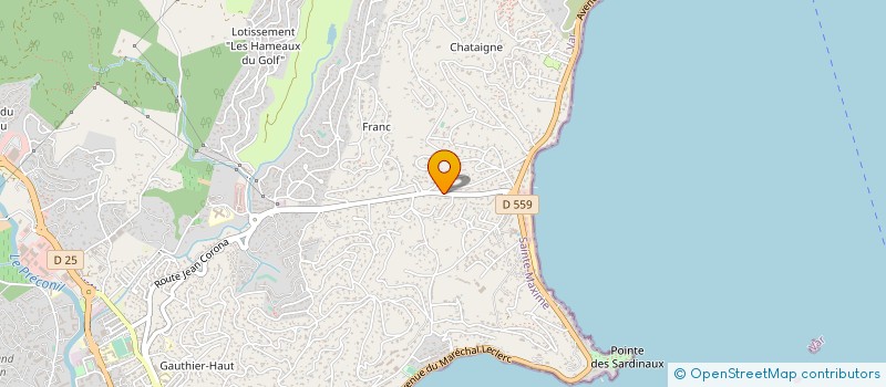 localisation de l'entreprise MONSIEUR JASMIN BORCAK à SAINTE-MAXIME
