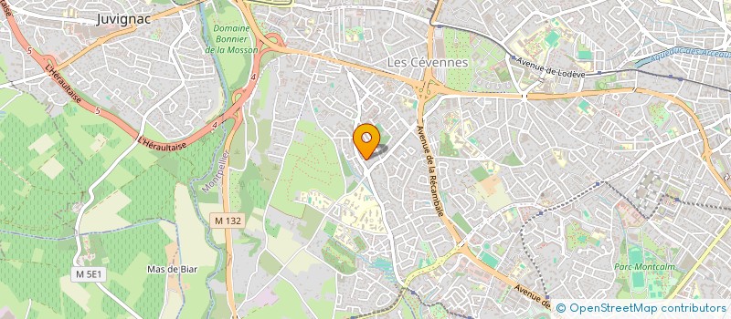 localisation de l'entreprise MONSIEUR JASON DOTELE  MONTPELLIER