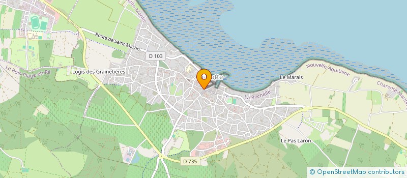 localisation de l'entreprise MONSIEUR JASON GELU  LA FLOTTE