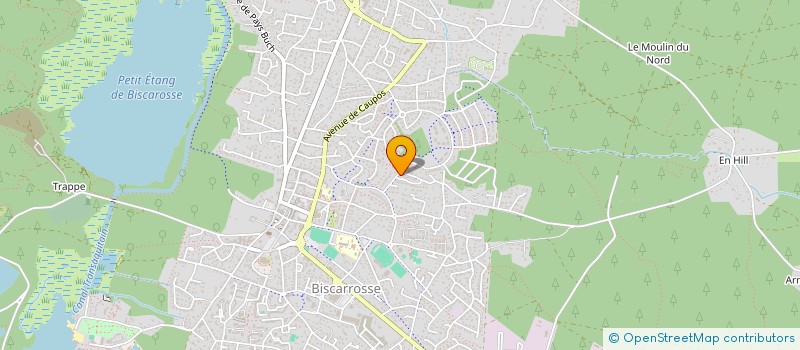 localisation de l'entreprise MONSIEUR JASON ROYNETTE  BISCARROSSE