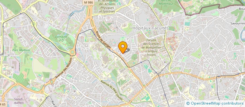 localisation de l'entreprise MONSIEUR JAVIER GIL SOTO à MONTPELLIER