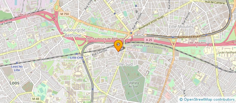 localisation de l'entreprise MONSIEUR JAWAD BENMANSOUR  LILLE