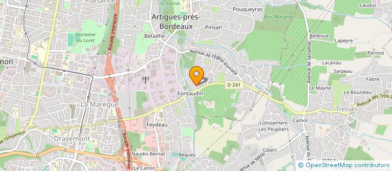 localisation de l'entreprise MONSIEUR JAWAD DRIYD  ARTIGUES-PRES-BORDEAUX