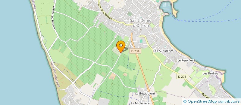 localisation de l'entreprise MONSIEUR JEAN ABIT  SAINT-DENIS-D'OLERON