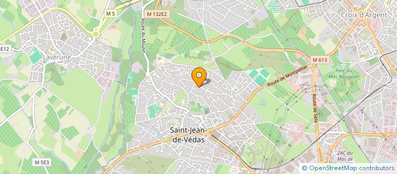 localisation de l'entreprise MONSIEUR JEAN ALIE  SAINT-JEAN-DE-VEDAS