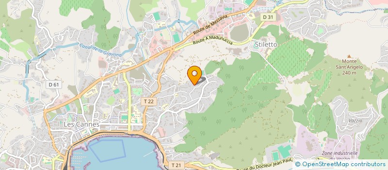 localisation de l'entreprise MONSIEUR JEAN AMMANNATI à AJACCIO