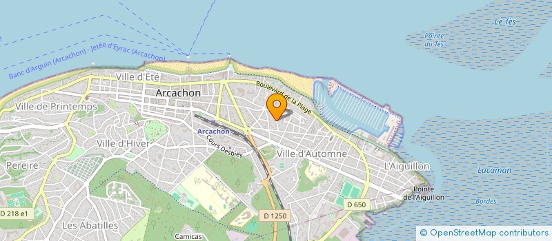 localisation de l'entreprise MONSIEUR JEAN-ANDRE PINEAU  ARCACHON