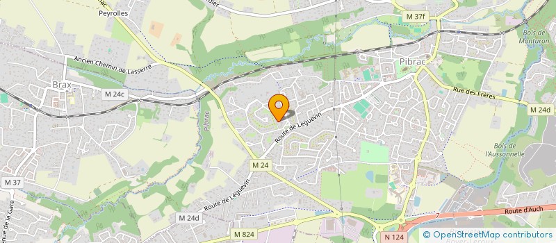 localisation de l'entreprise MONSIEUR JEAN ANE  PIBRAC