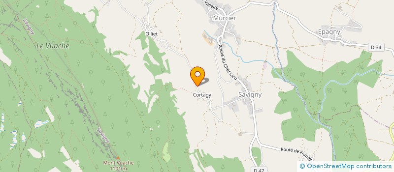 localisation de l'entreprise MONSIEUR JEAN BAGUET  SAVIGNY