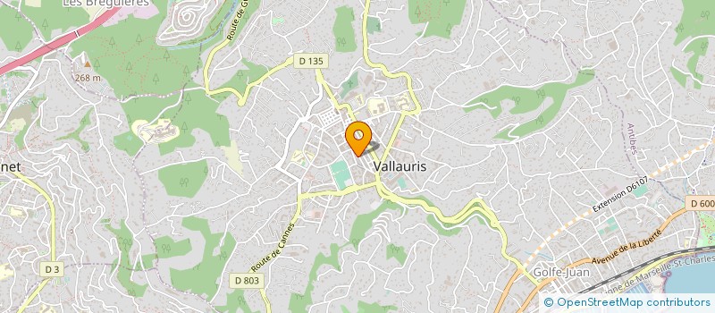 localisation de l'entreprise MONSIEUR JEAN BAIN à VALLAURIS