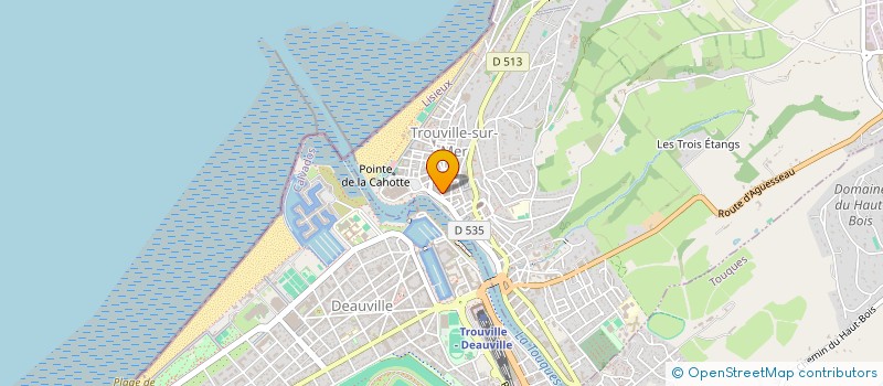 localisation de l'entreprise MONSIEUR JEAN-BAPTISTE DUVERGER à TROUVILLE-SUR-MER