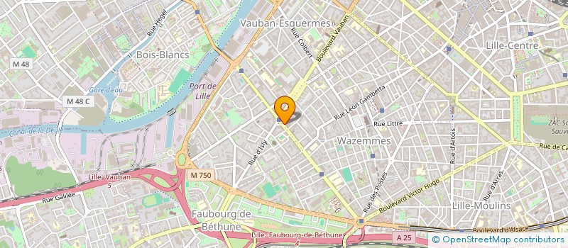localisation de l'entreprise MONSIEUR JEAN-BAPTISTE LEGALLOIS à LILLE