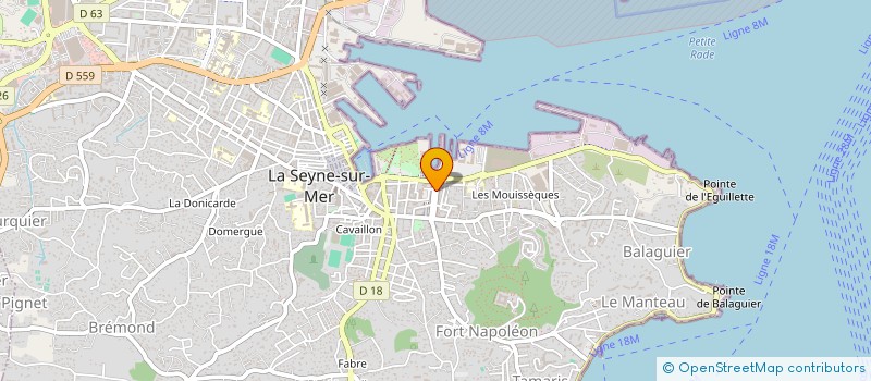 localisation de l'entreprise MONSIEUR JEAN-BAPTISTE MASAU  LA SEYNE-SUR-MER