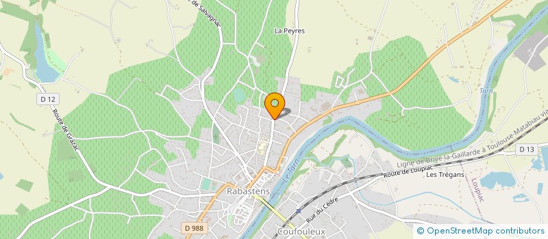 localisation de l'entreprise MONSIEUR JEAN BERARD  RABASTENS