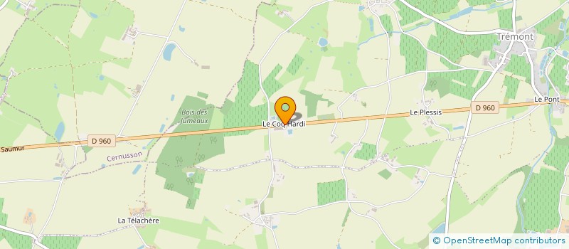 localisation de l'entreprise MONSIEUR JEAN-BERNARD FREMONDIERE  CERNUSSON