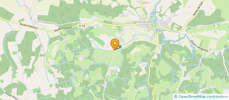 localisation de l'entreprise MONSIEUR JEAN BERT  LASSEUBE