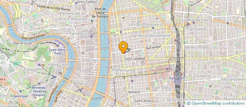 localisation de l'entreprise MONSIEUR JEAN BERTHIER  LYON