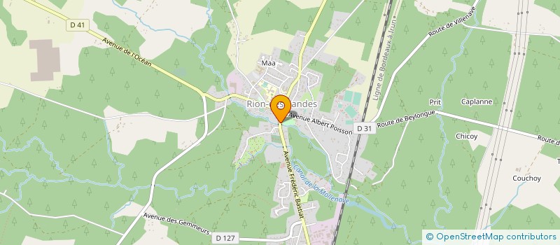 localisation de l'entreprise MONSIEUR JEAN BLIN à RION-DES-LANDES