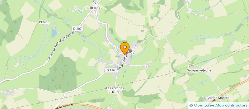 localisation de l'entreprise MONSIEUR JEAN BOIZOT  CURGY