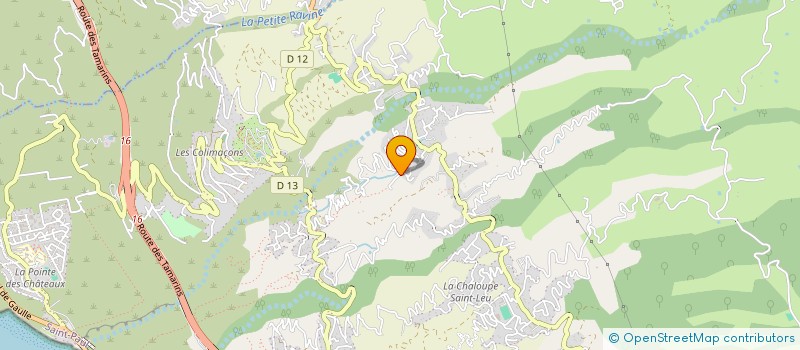 localisation de l'entreprise MONSIEUR JEAN BORDIER  SAINT-LEU