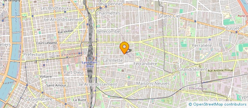 localisation de l'entreprise MONSIEUR JEAN BOUIX  LYON