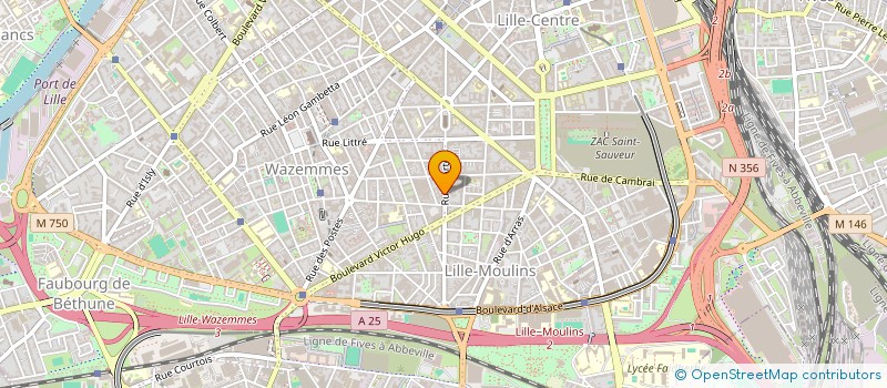 localisation de l'entreprise MONSIEUR JEAN BOUSSEMART à LILLE