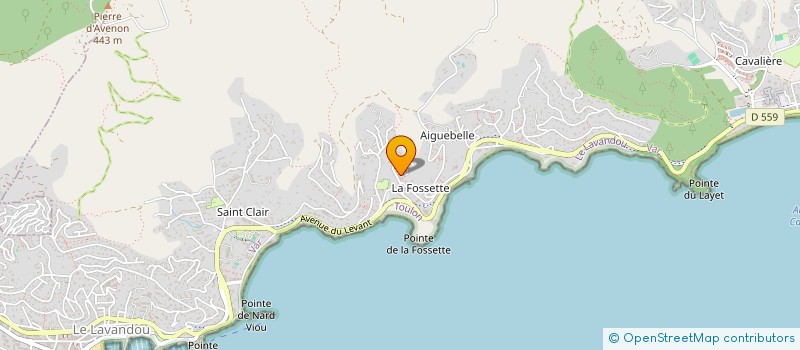 localisation de l'entreprise MONSIEUR JEAN BOUVET  LE LAVANDOU