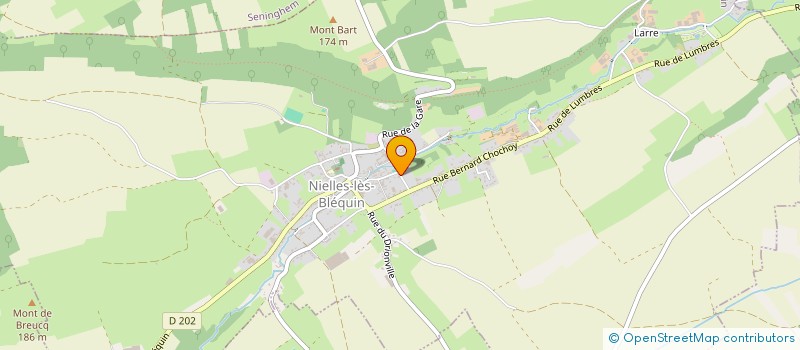 localisation de l'entreprise MONSIEUR JEAN BRIDAULT à NIELLES-LES-BLEQUIN