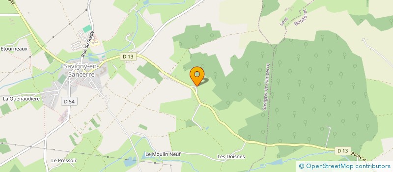 localisation de l'entreprise MONSIEUR JEAN BRUGUIERE  SAVIGNY-EN-SANCERRE