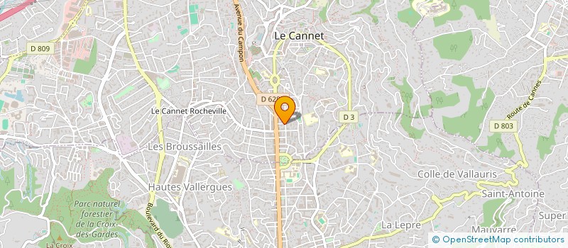 localisation de l'entreprise MONSIEUR JEAN BUISSON à LE CANNET