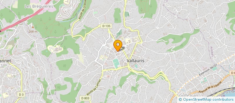 localisation de l'entreprise MONSIEUR JEAN CALCAGNO à VALLAURIS