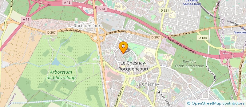 localisation de l'entreprise MONSIEUR JEAN CARBORANI  LE CHESNAY-ROCQUENCOURT