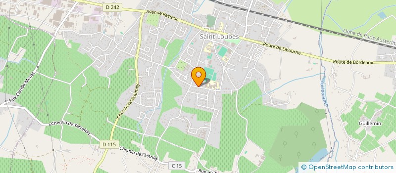 localisation de l'entreprise MONSIEUR JEAN CARJUZAA  SAINT-LOUBES