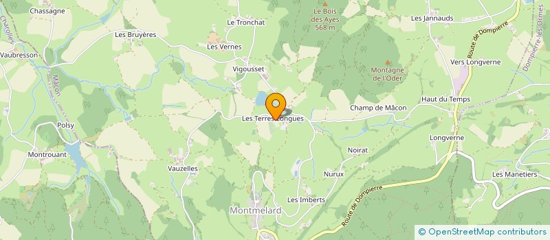 localisation de l'entreprise MONSIEUR JEAN CHAINTREUIL  SAINT-PIERRE-LE-VIEUX