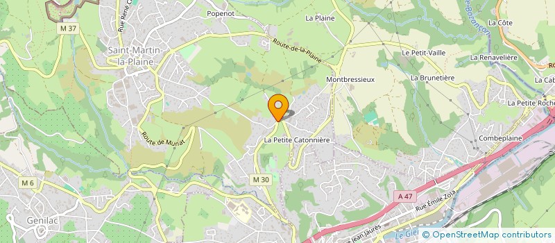 localisation de l'entreprise MONSIEUR JEAN CHAPELLE  SAINT-MARTIN-LA-PLAINE