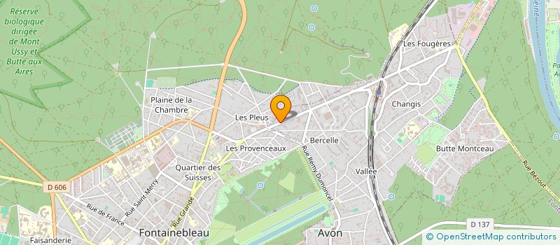 localisation de l'entreprise MONSIEUR JEAN CHEREAU  AVON