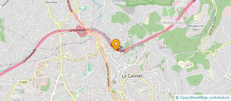 localisation de l'entreprise MONSIEUR JEAN-CHRISTOPHE DI COSTANZO  MOUGINS