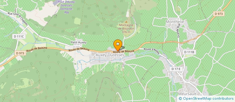 localisation de l'entreprise MONSIEUR JEAN CHRISTOPHE POULLEAU  AUXEY-DURESSES