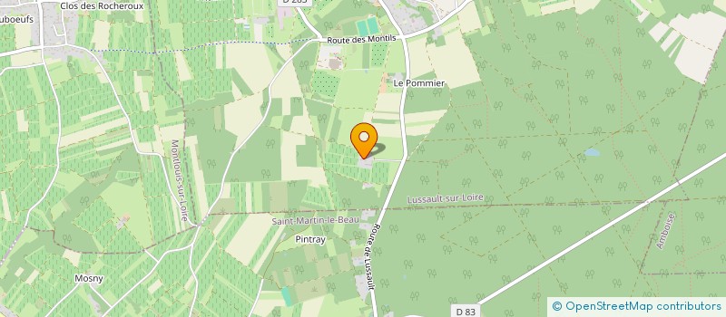 localisation de l'entreprise MONSIEUR JEAN CHRISTOPHE RAULT  LUSSAULT-SUR-LOIRE