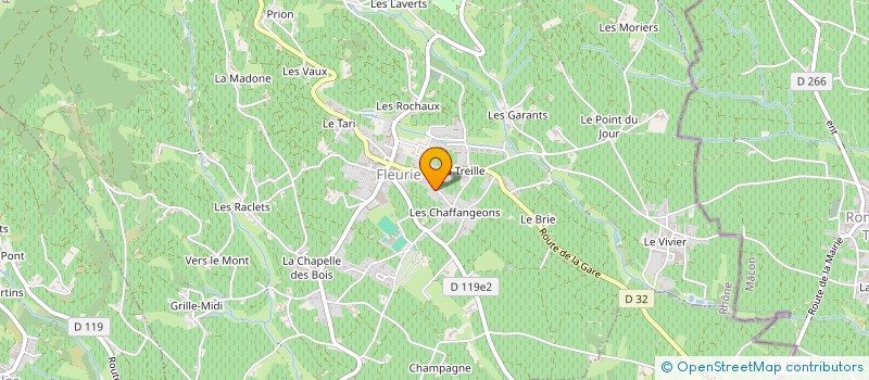 localisation de l'entreprise MONSIEUR JEAN-CHRISTOPHE VERDIE  FLEURIE