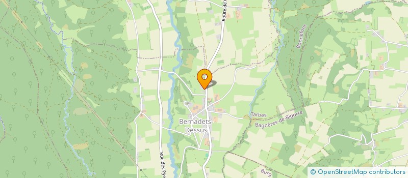 localisation de l'entreprise MONSIEUR JEAN-CLAUDE ANTRAIGUES  BERNADETS-DESSUS