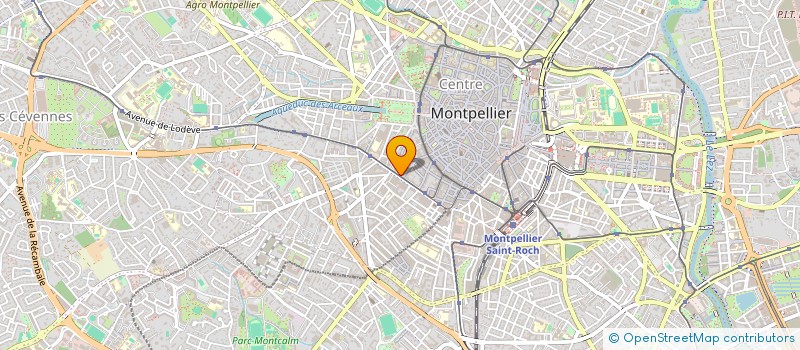 localisation de l'entreprise MONSIEUR JEAN-CLAUDE DELAGNES à MONTPELLIER