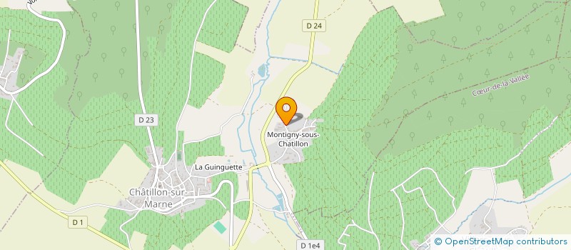 localisation de l'entreprise MONSIEUR JEAN-CLAUDE DODEMENT  CHATILLON-SUR-MARNE