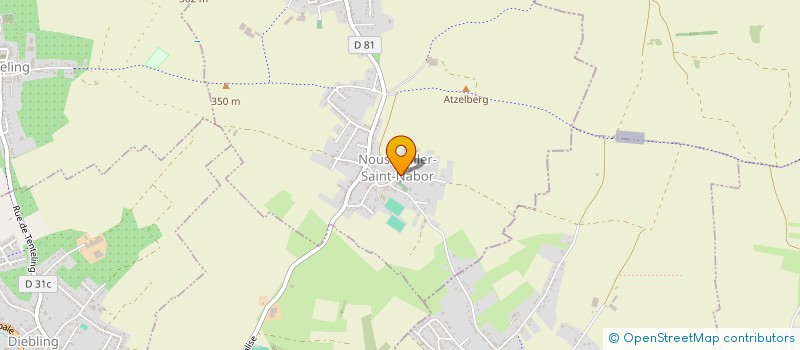 localisation de l'entreprise MONSIEUR JEAN-CLAUDE LANTZ  NOUSSEVILLER-SAINT-NABOR