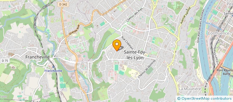 localisation de l'entreprise MONSIEUR JEAN CLAUDE MENICHON  SAINTE-FOY-LES-LYON